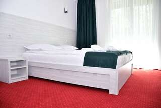 Отель Hotel Cirus Предял Стандартный двухместный номер с 1 кроватью или 2 отдельными кроватями-1